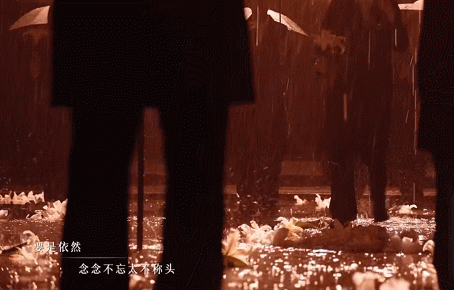 张极变成被淋湿的狗狗了哇塞真的好大的雨不过张极还是把舞台呈现的非常好真的很期