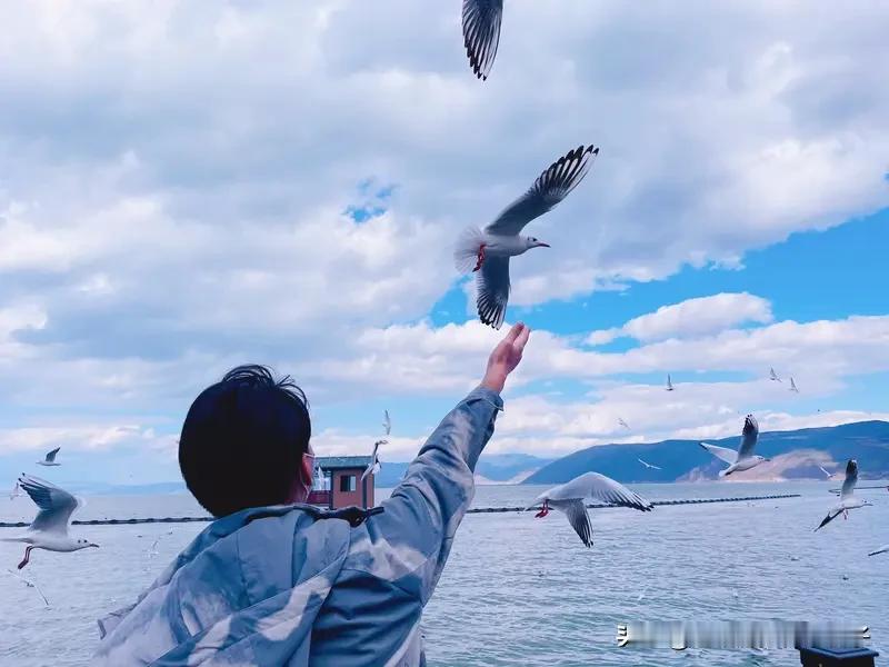 人活一辈子，争来争去，到底啥才是真正属于自己的？钱财、房子、地位，好像都不是。钱