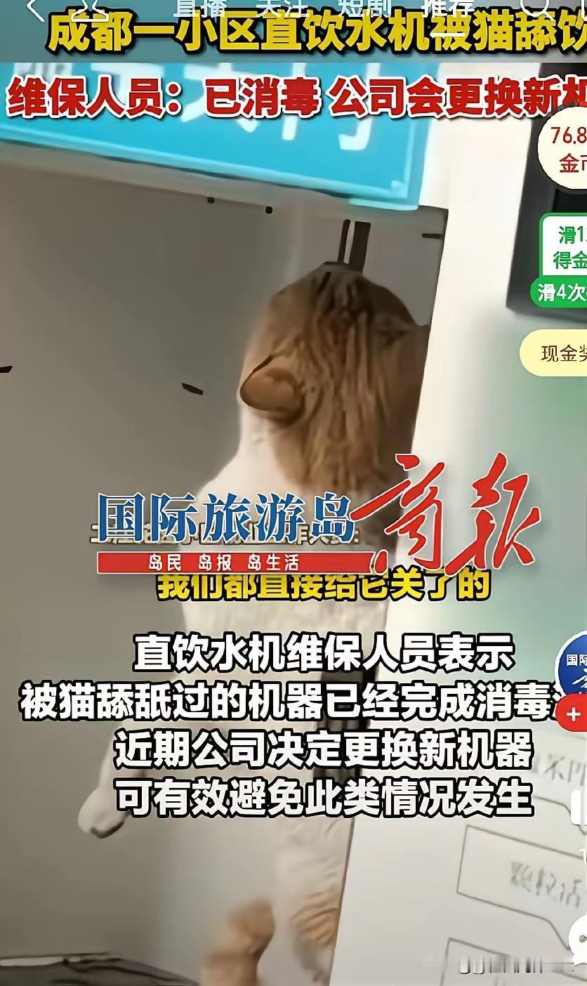 成都一小区饮水机没关门，流浪猫橘白路过，渴得不行就去舔饮水机。这一幕被人发网