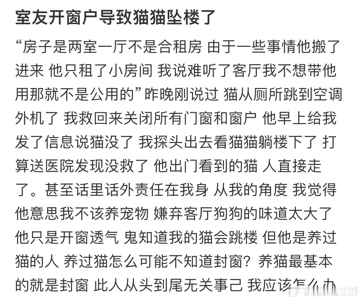 室友开窗户导致猫猫坠楼了​​​