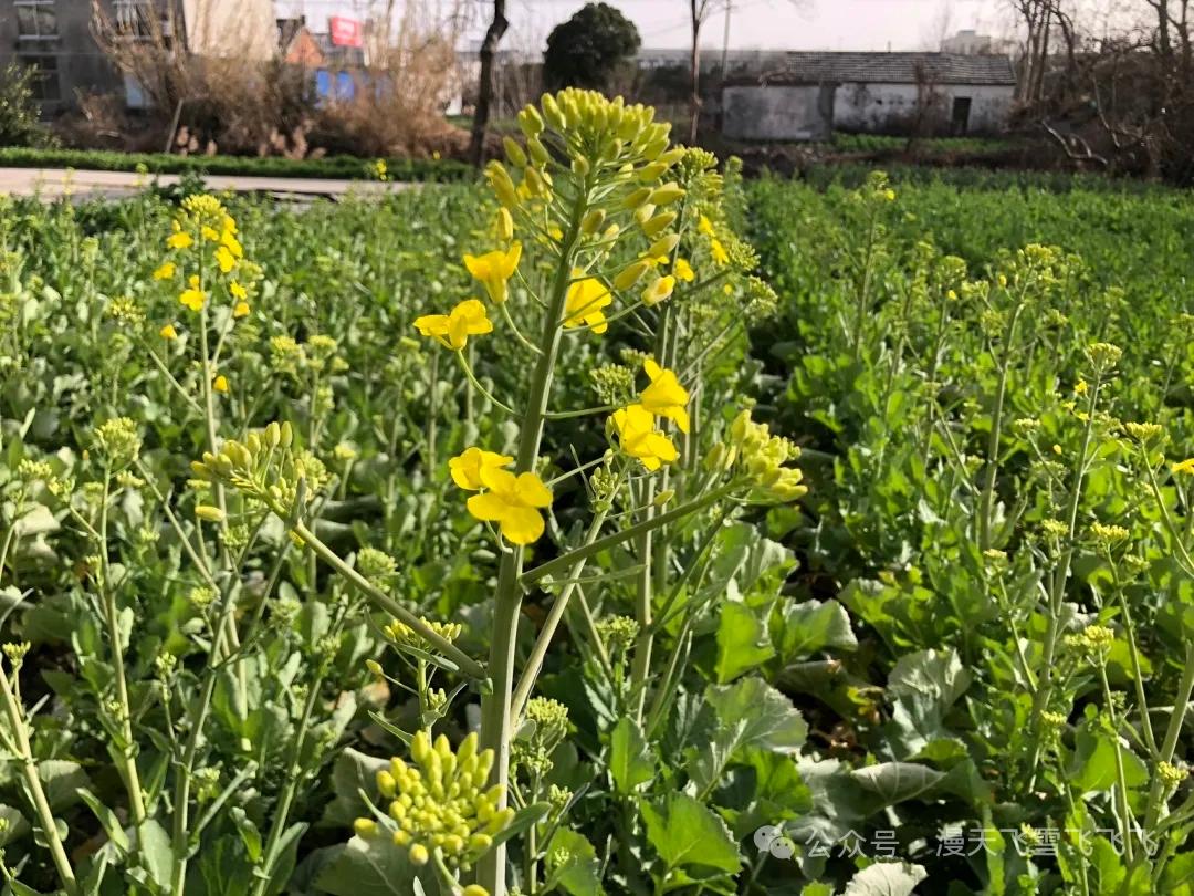 同事请假半个月伺候生病的婆婆，她的一句话让我们都不淡定了。同事的婆婆其实是一