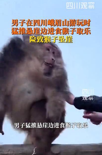 恶意推猴下悬崖！峨眉山这一幕全网震怒：玩笑过头就是恶5月5日，四川峨眉山景区
