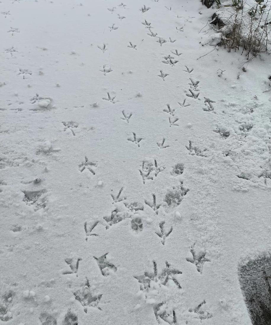 离婚后最先欺负你的人是谁？曾天真以为离婚脱离了苦海，娘家永远是依靠，谁知最先伤我