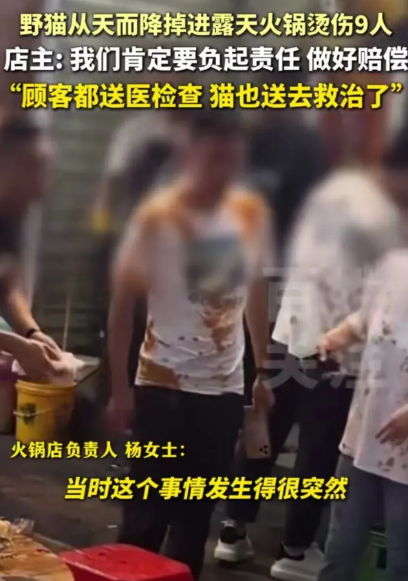 重庆，一只猫咪从楼上掉下来，砸到楼下露天的火锅里，9位客人被溅的满身油污，火锅店