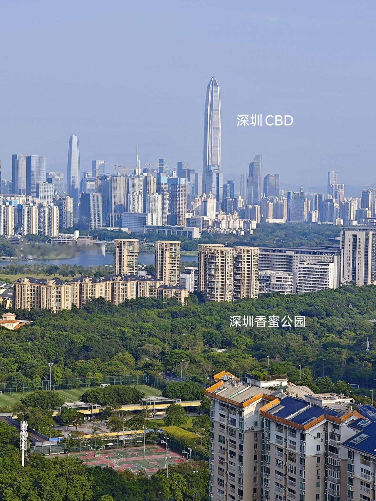 我们仔细来看一看深圳APEC会议主会场周围的绿化和城市环境，也就是深圳正在打造的
