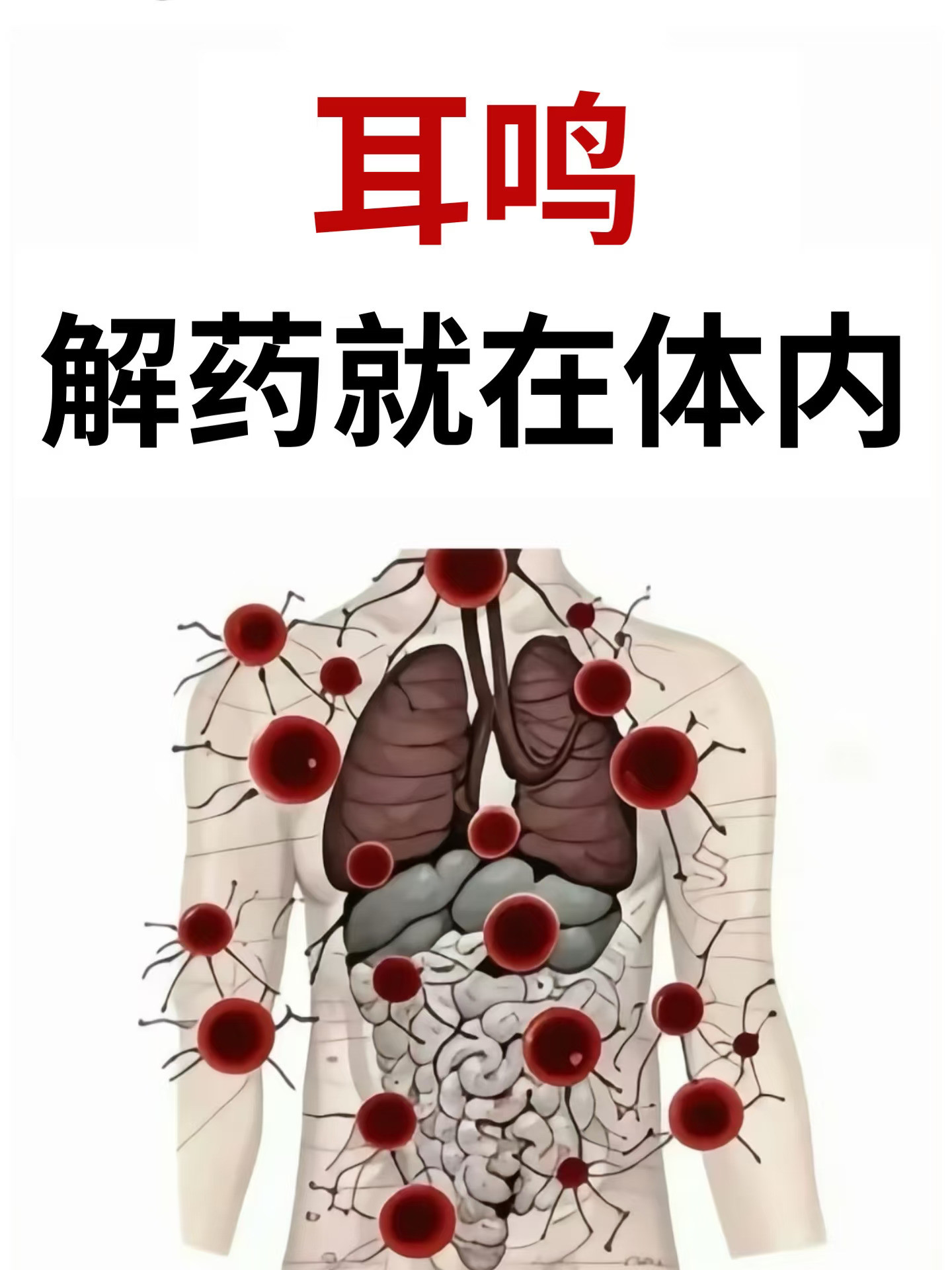 原来，治疗耳鸣的关键就在身体内
