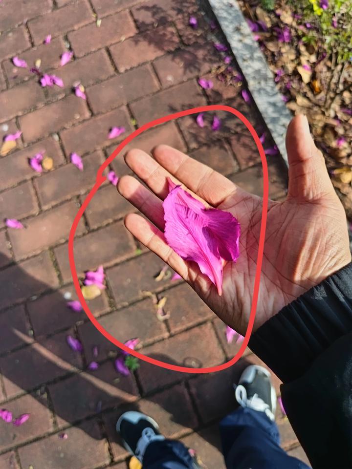 我开始有点理解移居肇庆的人了肇庆这么完美的地方，谁会不喜欢啊？不仅是因为游鼎