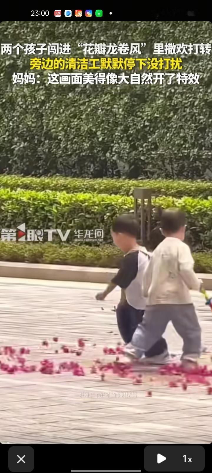 4月7日，广东深圳。孩子妈妈向女士分享视频称，自己带着儿子去散步，落花被一阵风吹