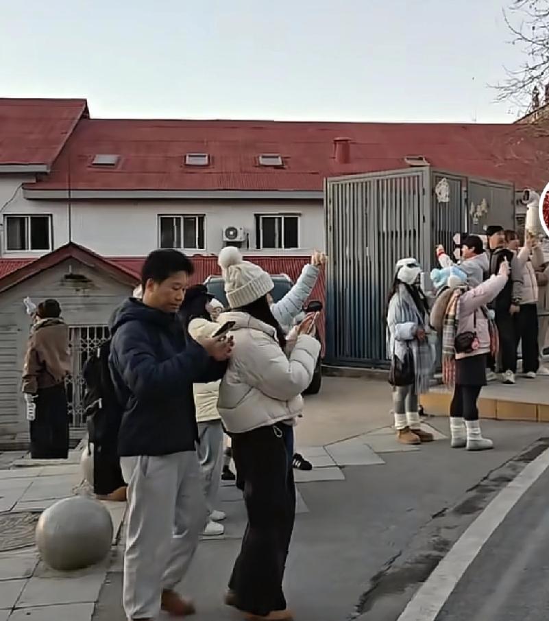 没想到一只偷摸吃的流浪猫，却成为了所有路人直播的对象马路上很多人拿着手机进行拍