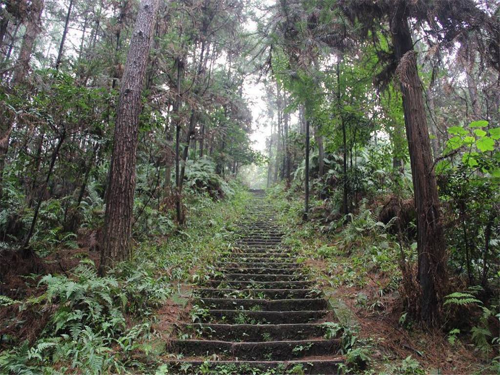 高石梯森林公园——四川的四大避署胜地之一!