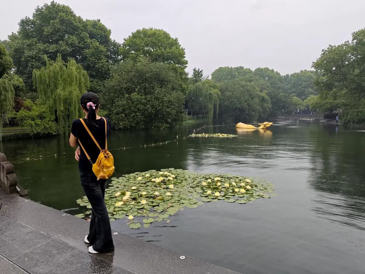我的今日状态：😁轻松愉快我这里的天气：🌧下雨杭州最近几天雨下不停，西湖