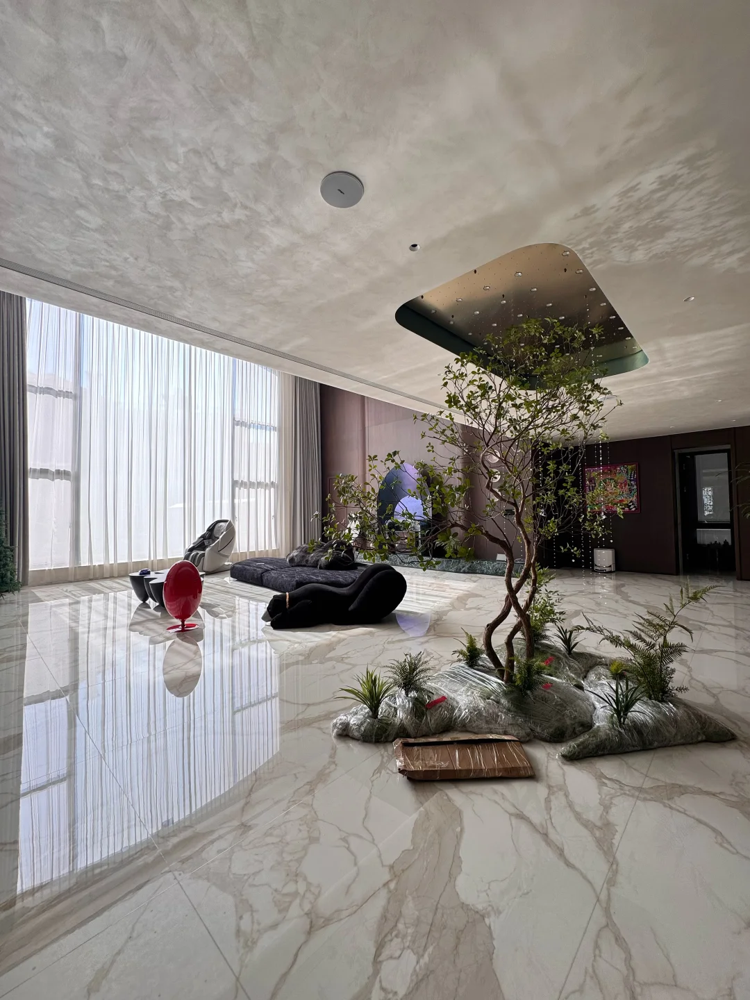 我在家里300㎡的一楼栽了棵树