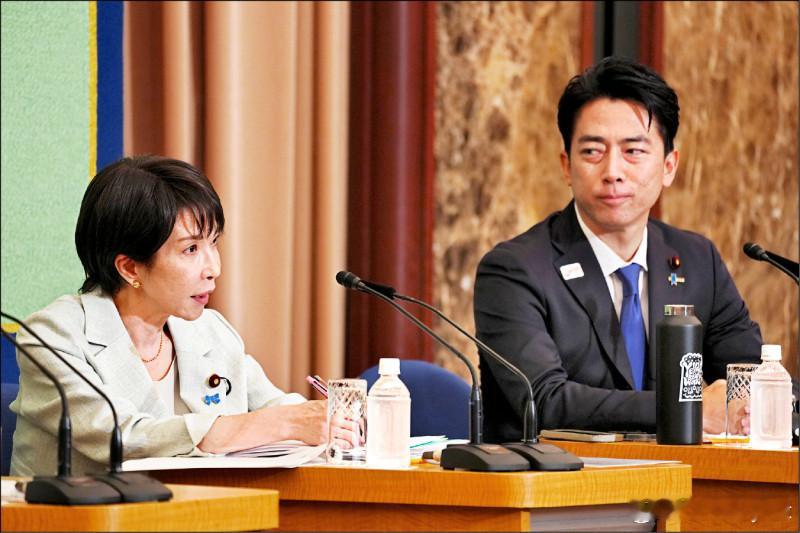 【自民党总裁选举周六举行小泉阵营频出纰漏或重演一轮游】海外新鲜事日本日本自民