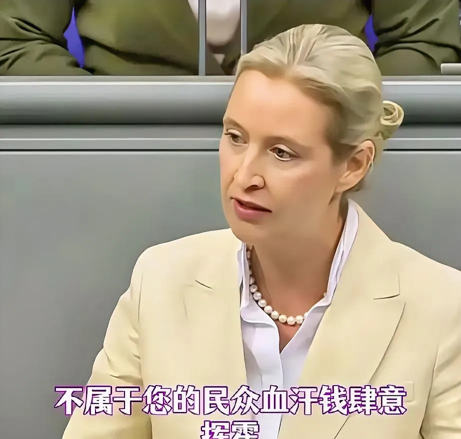 墨茨援乌购美武，德民怒了德国民众怒火中烧！墨茨竟然背着我