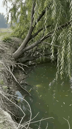 这个龙门有点窄了