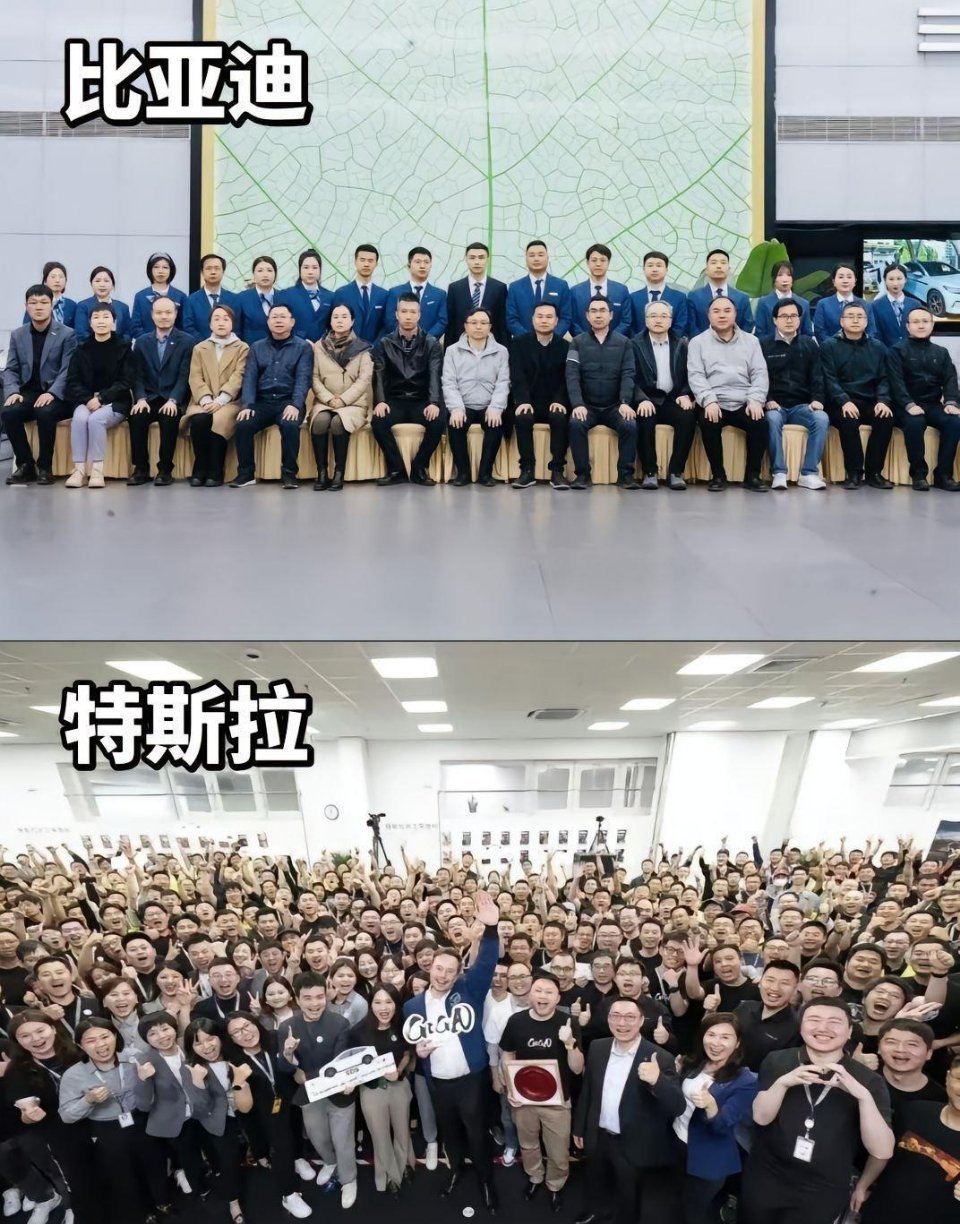 这就是中美的差异吧