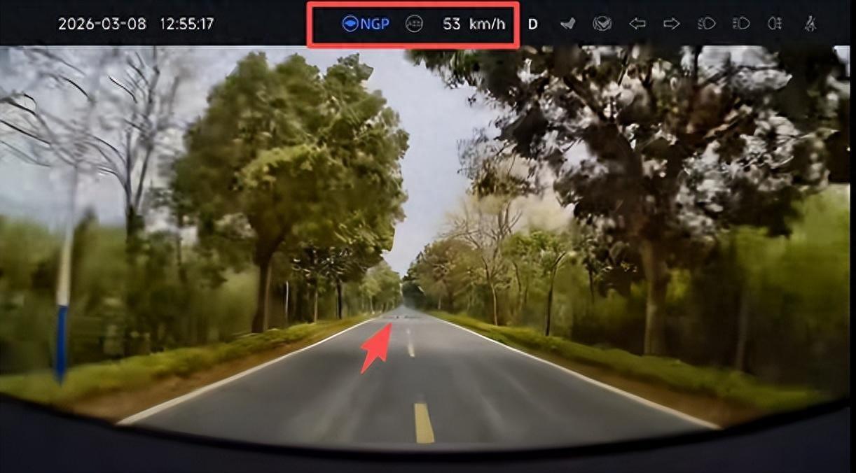 吓死了！广东清远，一男子使用辅助驾驶时，远远看到前面有一排塑料袋，可在离近时副驾