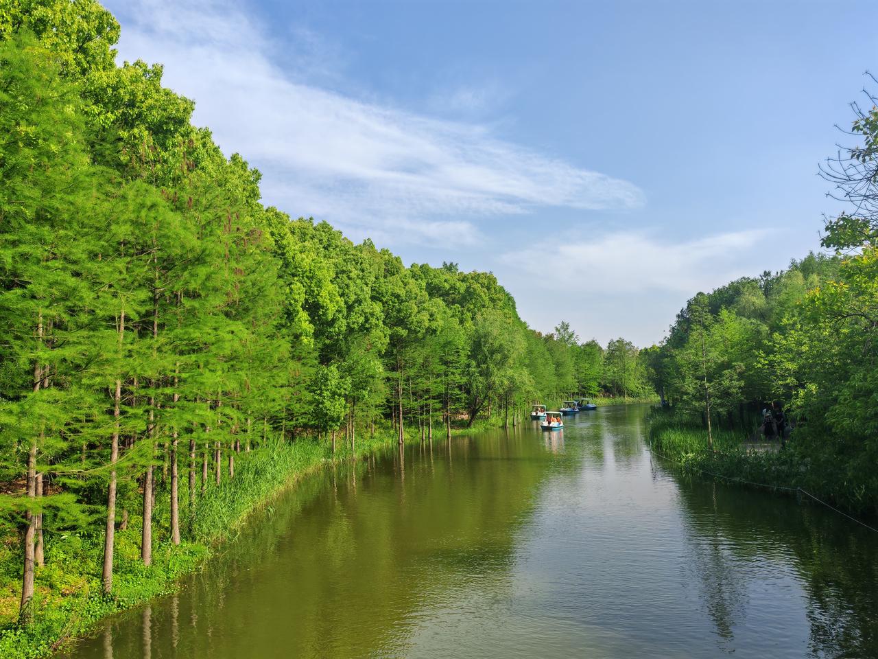 未来几年复合增长率50%高盛、中信灯投行预测，2026年公司归母净利润预计为2