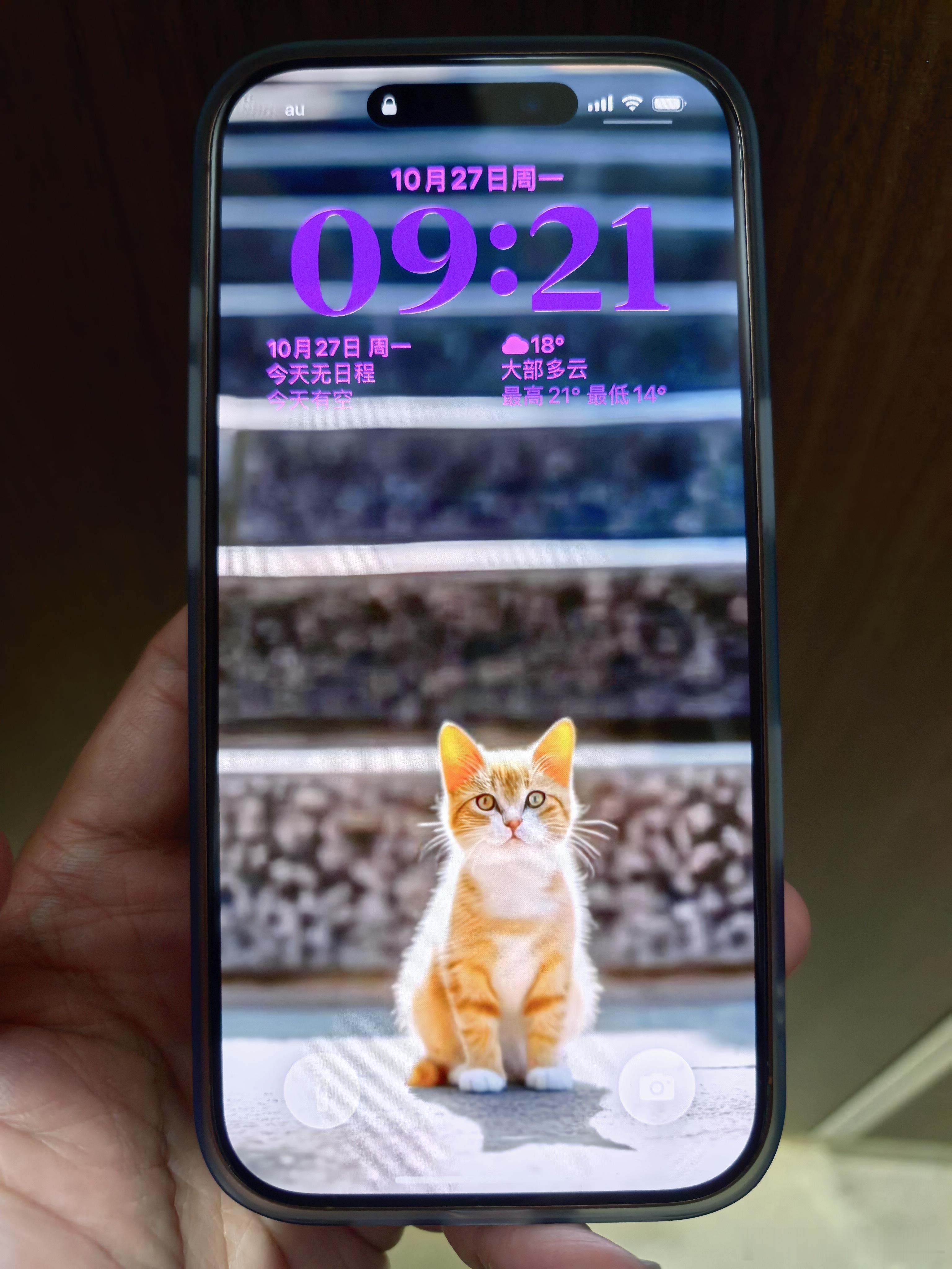 iPhone千万别这样充电了我一个手机膜都不贴的人，还会管iPhone怎么充电