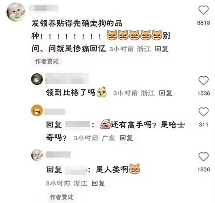 目瞪口呆，毛骨悚然，吓死我了！！！