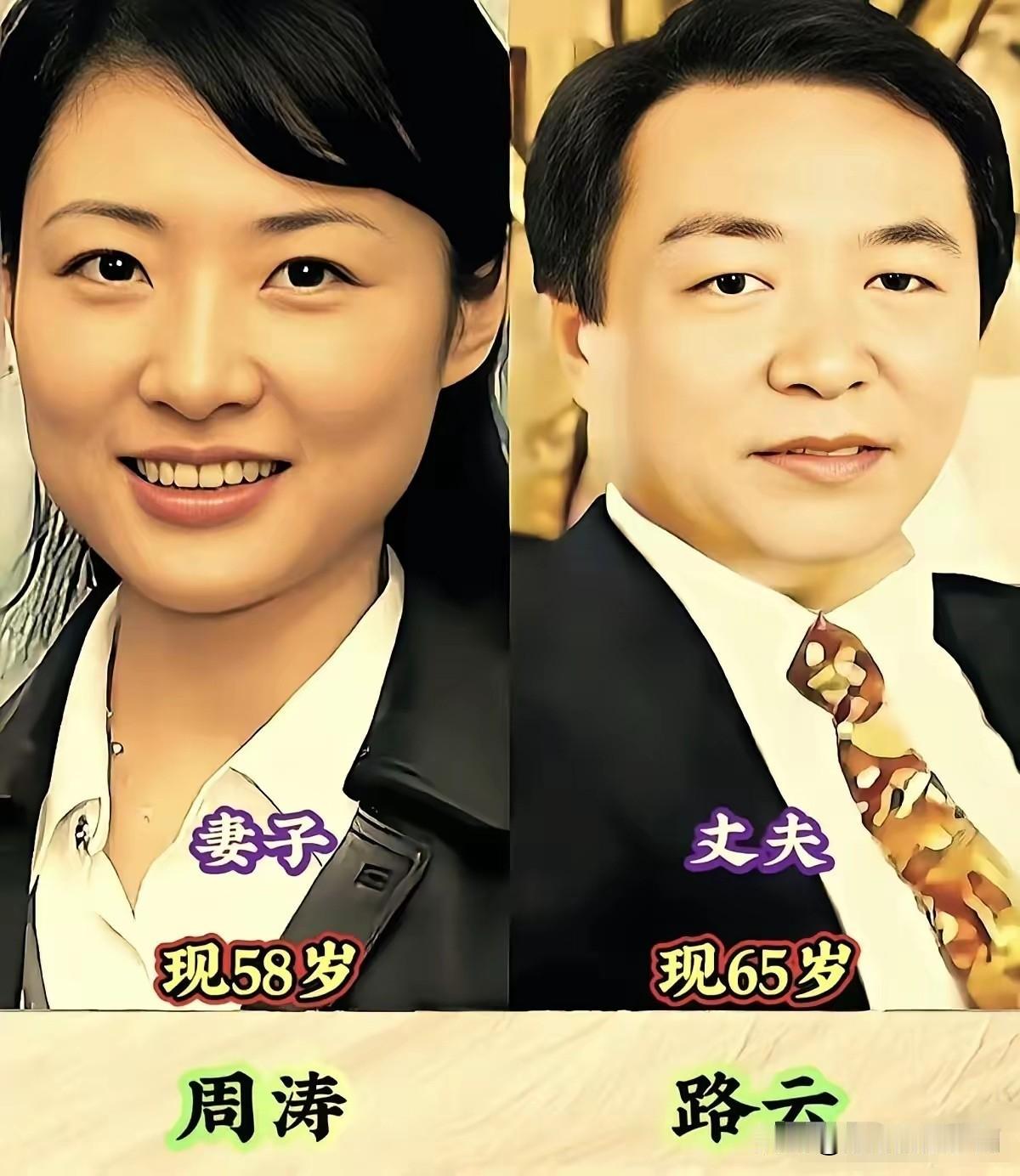央视夫妻周涛路云央视夫妻倪萍杨亚洲央视夫妻朱迅王志三对央视主持人夫妻