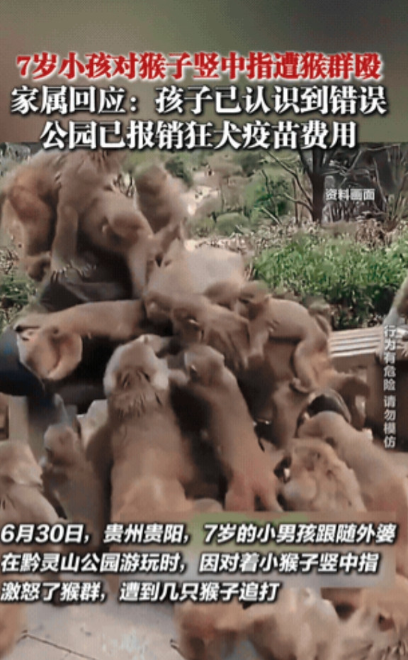 “这钱赔的冤不冤？”7月2日贵州，一个7岁的小男孩在景区游玩时，学着网上，朝猴子