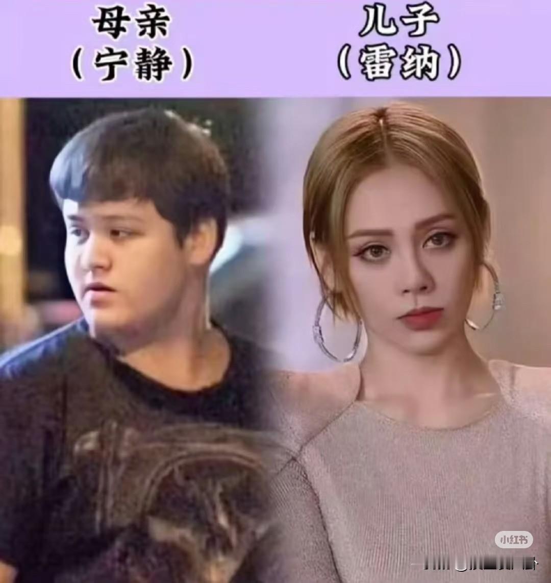 混血长的好看应该是中国人最大的误解不信你看宁静儿子宁静和她的外国老公相识于《