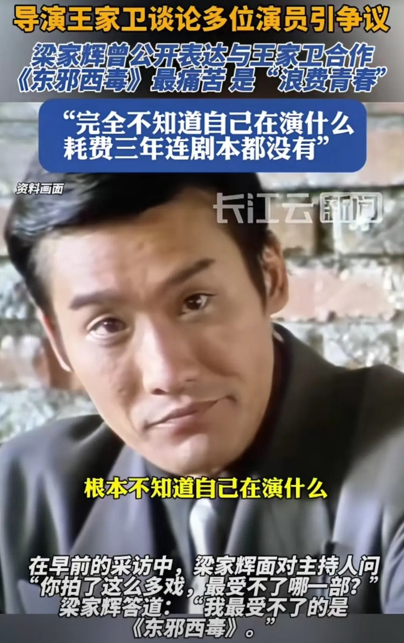 王家卫最受争议的一部剧依然还是当年大牌云集的《东邪西毒》，但是这部剧对演员而言，