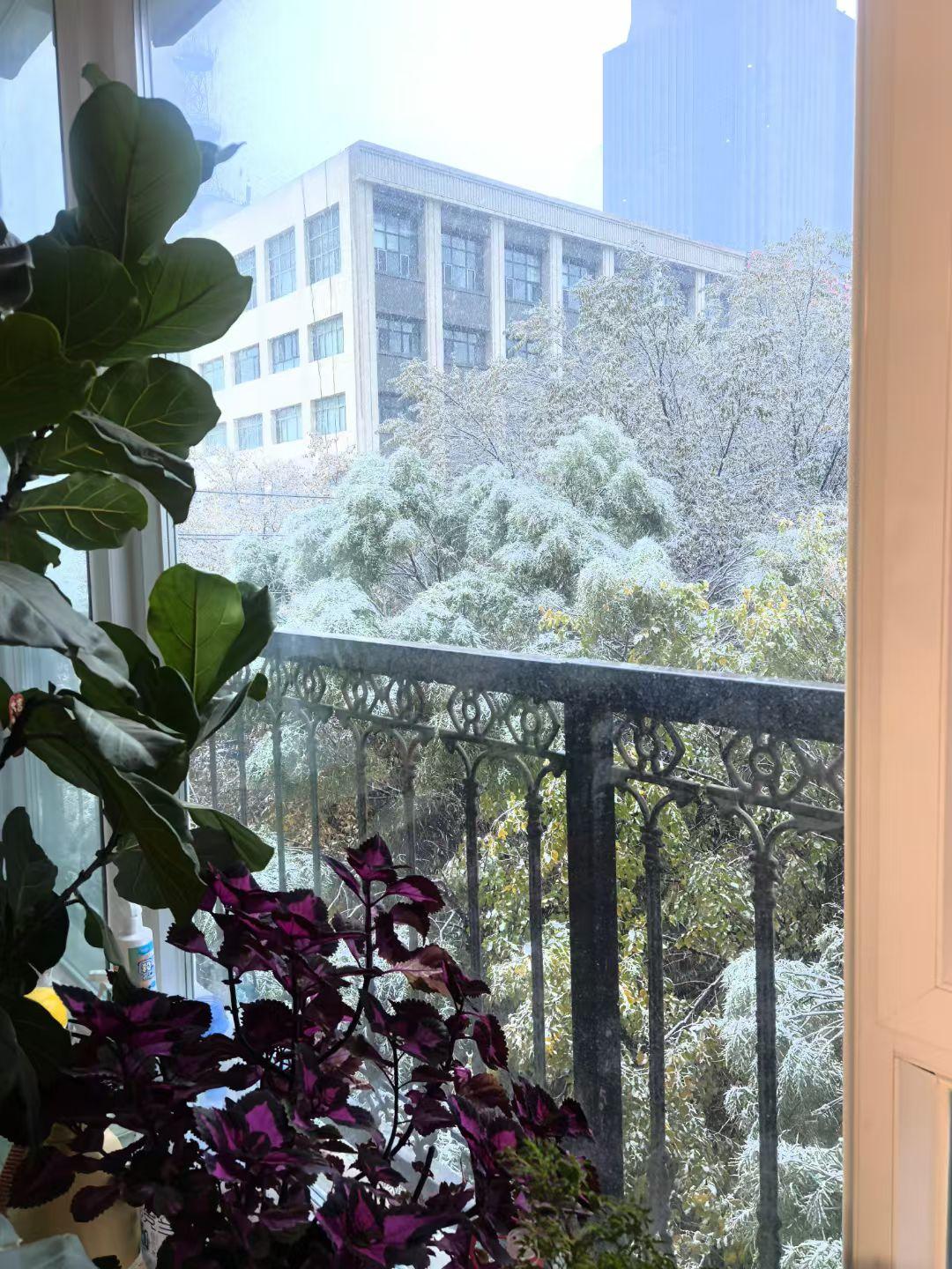 2025年的第一场雪，着实比以往提前了不少，这是网友的公认。一夜之间，窗外的世界