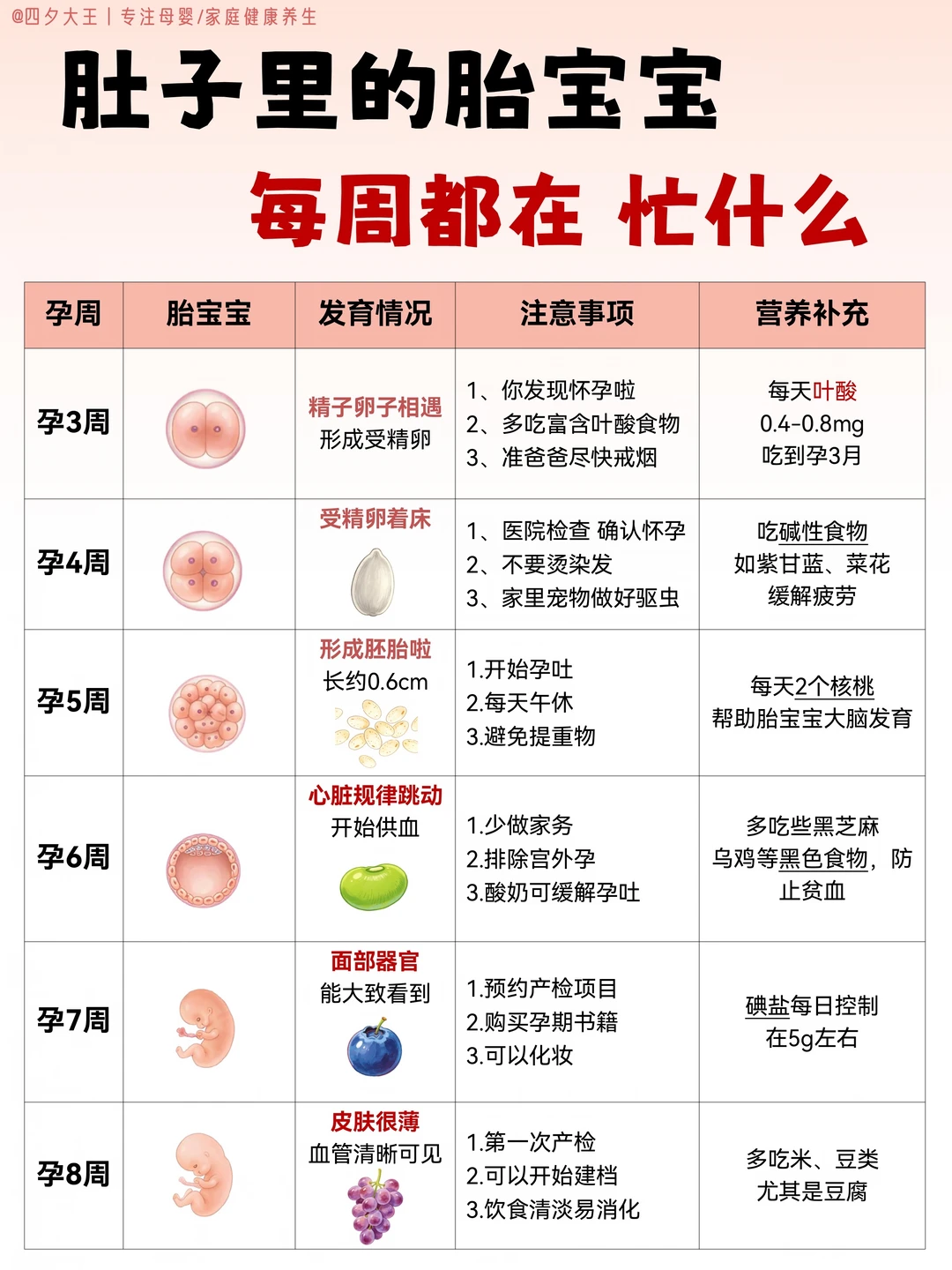 怀孕1-40周，每周要注意什么？一篇讲清楚‼️