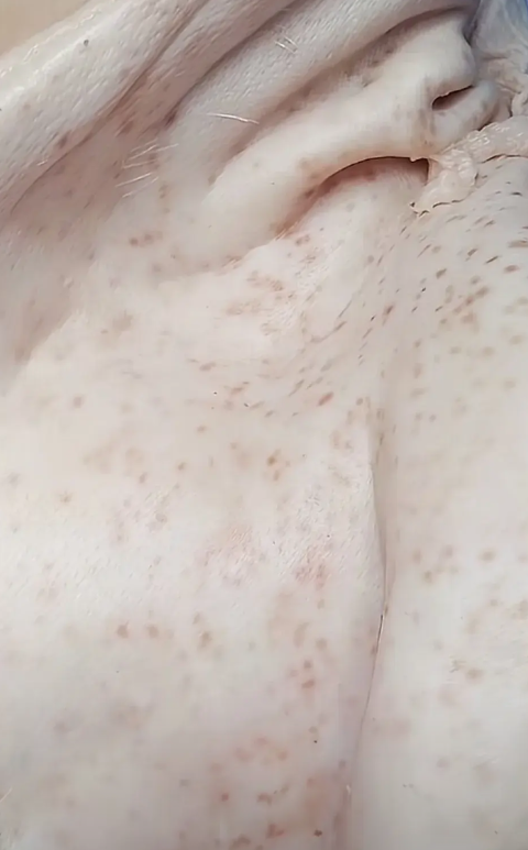 富顺县华英臭肉事件，我发现三个细节1.学校老师爆料，学校的食材是由教体局统一指