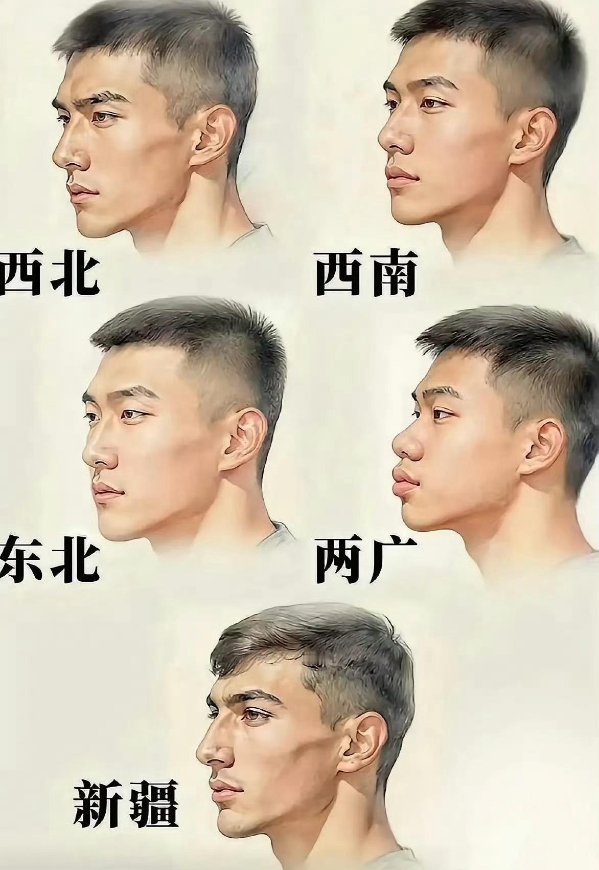 这组脸型对比太直观了，每个地域都有专属的帅气轮廓呀