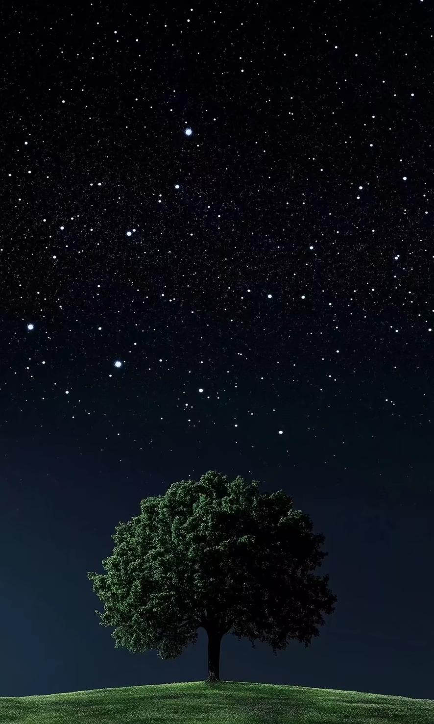 其实真的活通透了，你会发现这世间任何东西都没意义，活着没意义，结婚没意义，生孩子