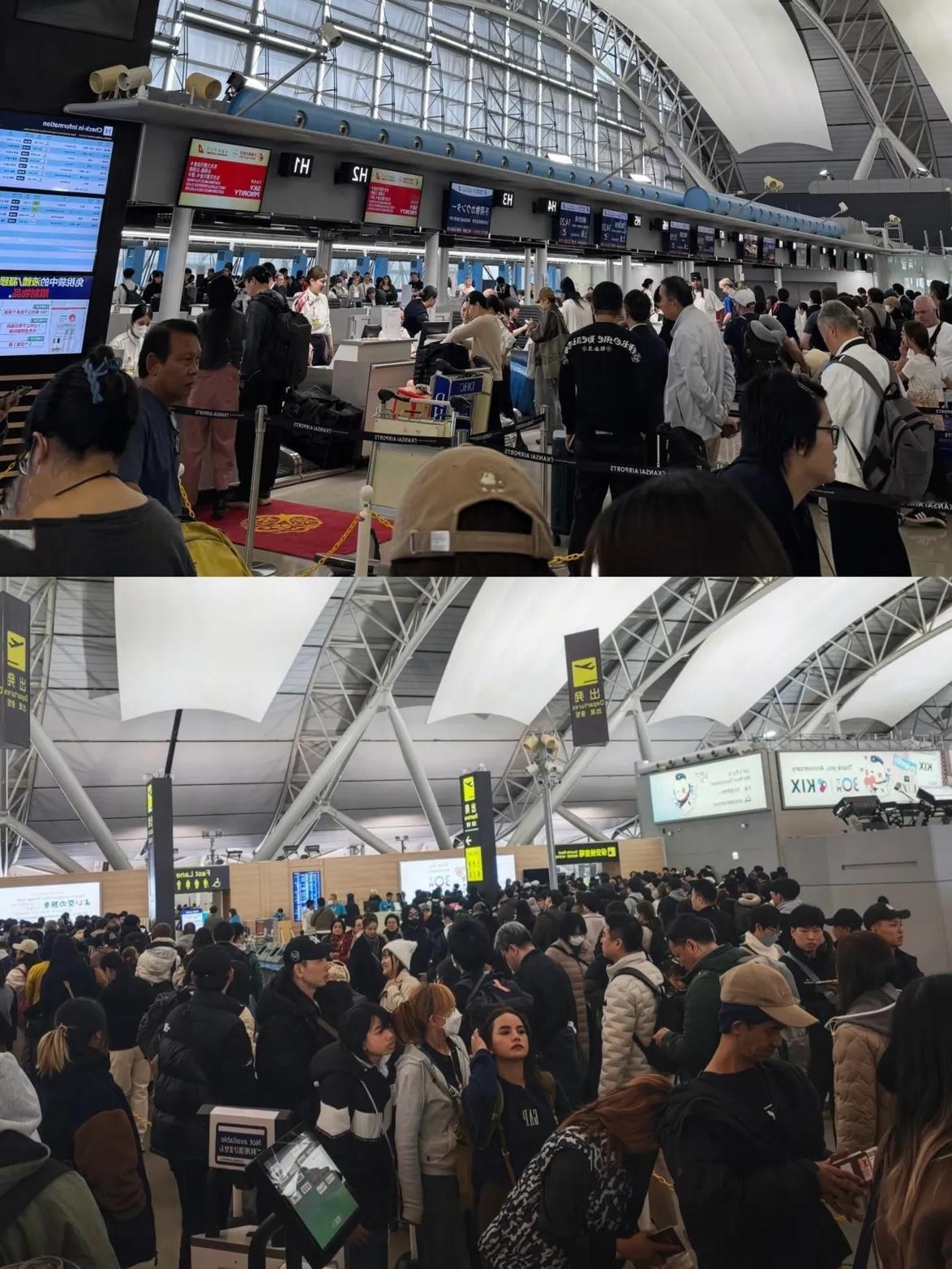 刷到日本西关机场的视频真的惊了！全是想回国的中国人，队伍从航站楼一直排到马路边