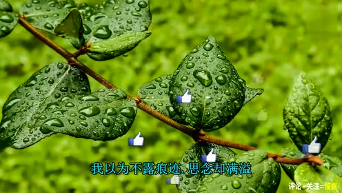 盛夏的果实_盛夏的果实mv