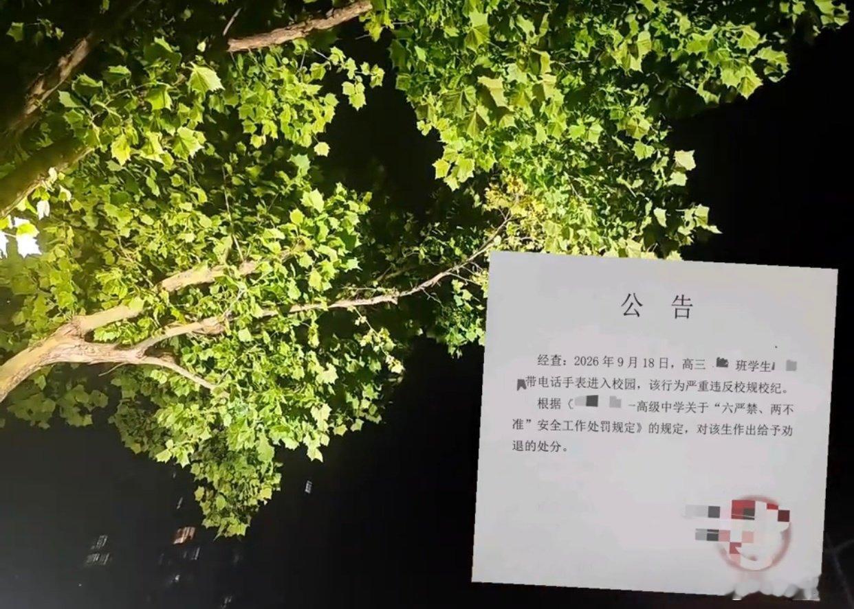 网上刷到一则学校公告，挺感慨的。一名高三的学生，因为把电话手表带进学校，直接收到了劝退的处分。发帖的