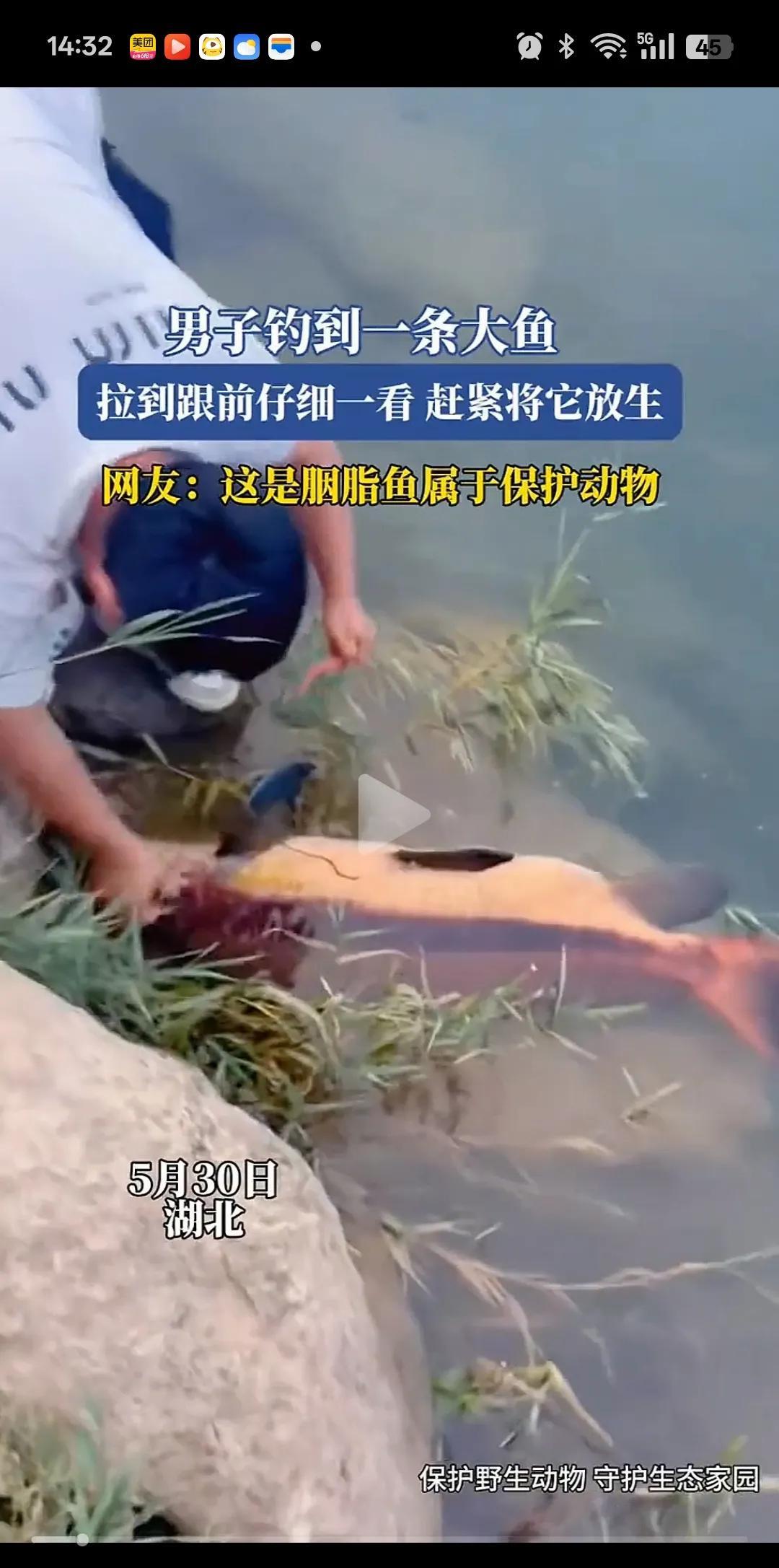 看似你放了它一马，实则是它放了你一马[笑着哭][笑着哭]。湖北，一男子钓到一条大鱼