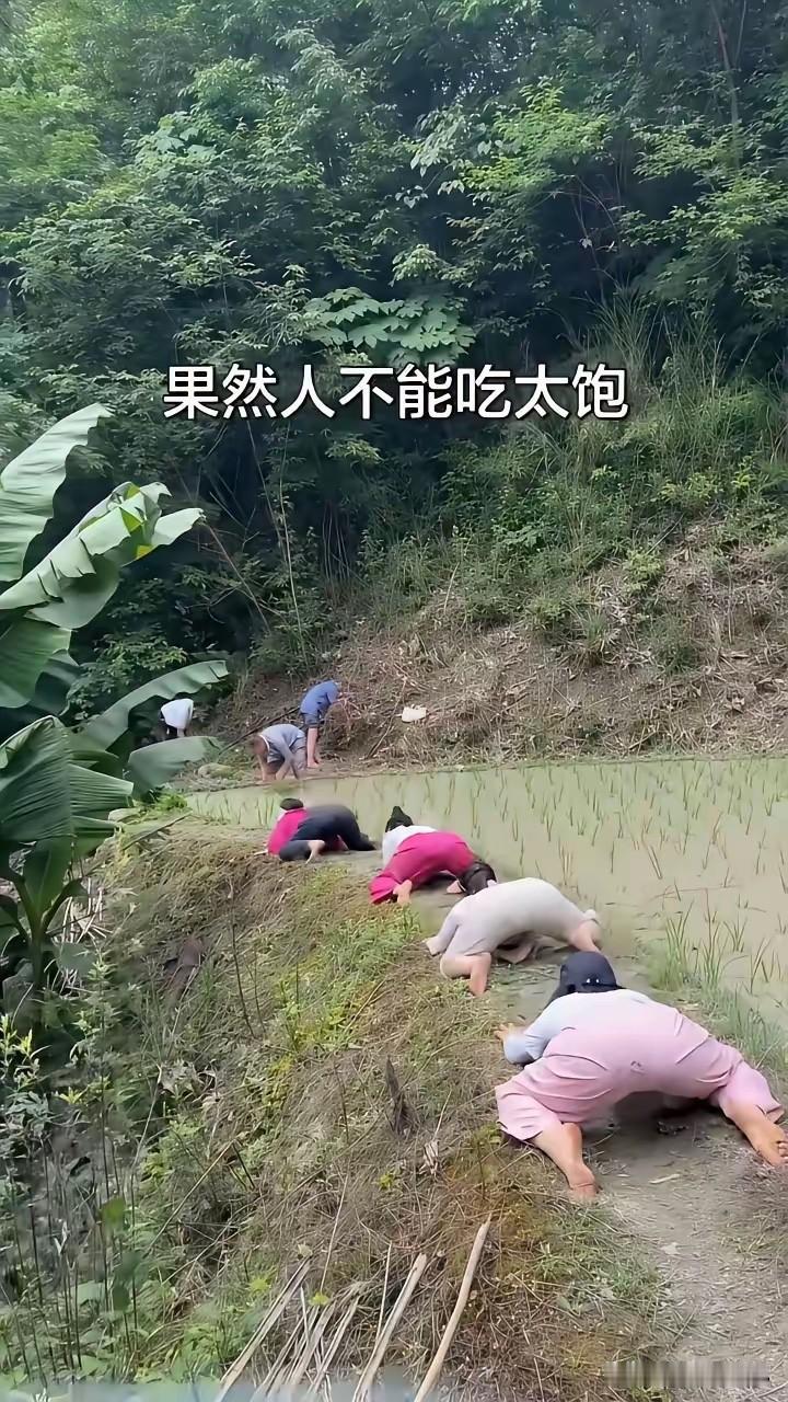 退休大妈们，这得有多闲啊？