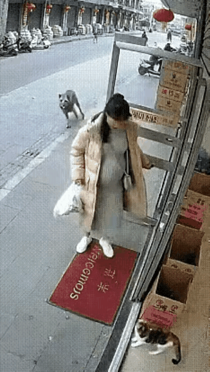 猫有时候比人强，你信吗？孕妇阿香逛街想买婴儿衣服，刚到店门口