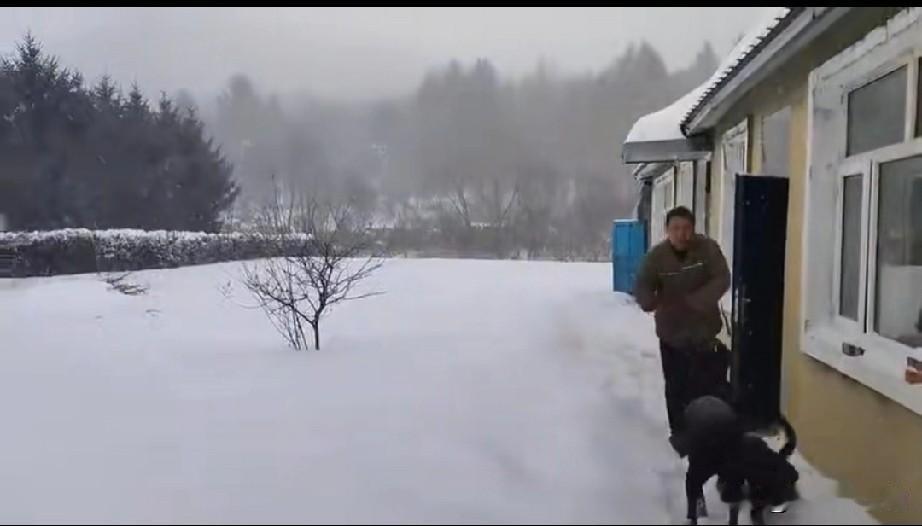 4月6日到7日左右，黑龙江第一次入春失败，下暴雪了！鹤岗、佳木斯、双鸭山这些地