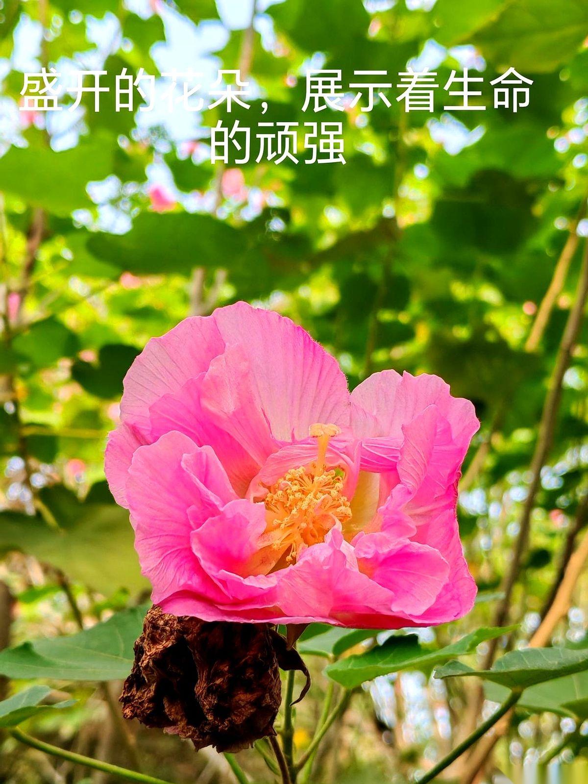 聊聊最近这个规则。今天，一只无形的手伸过来，把屏幕上的“100”抹掉，轻轻写上