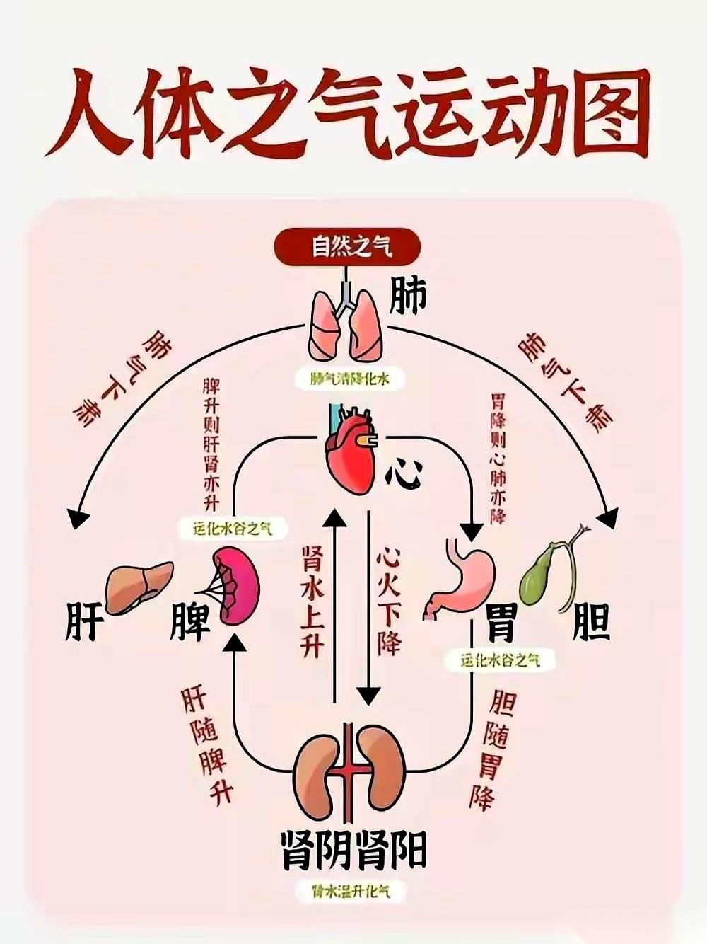 嘴上长疮，脚底冰凉。楼上是火焰山，楼下是广寒宫。身体里冰火两重天，这日子怎么