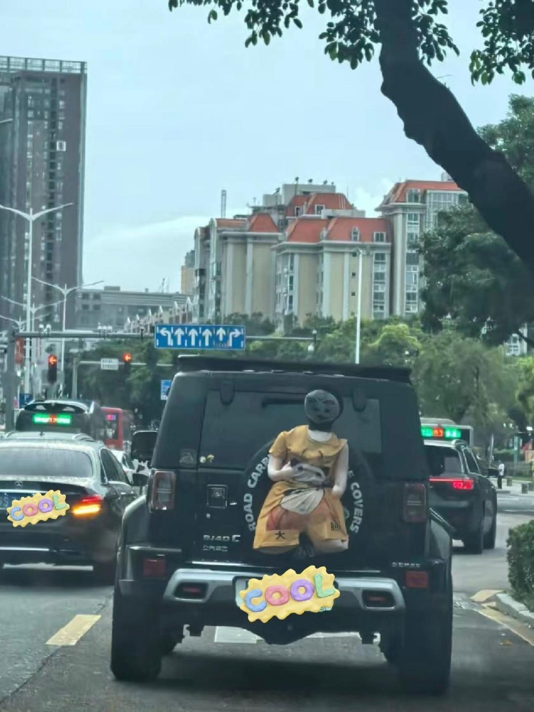 车上挂这玩意，感觉跟前两天戴面具那个差不多晚上看到吓一跳​​​
