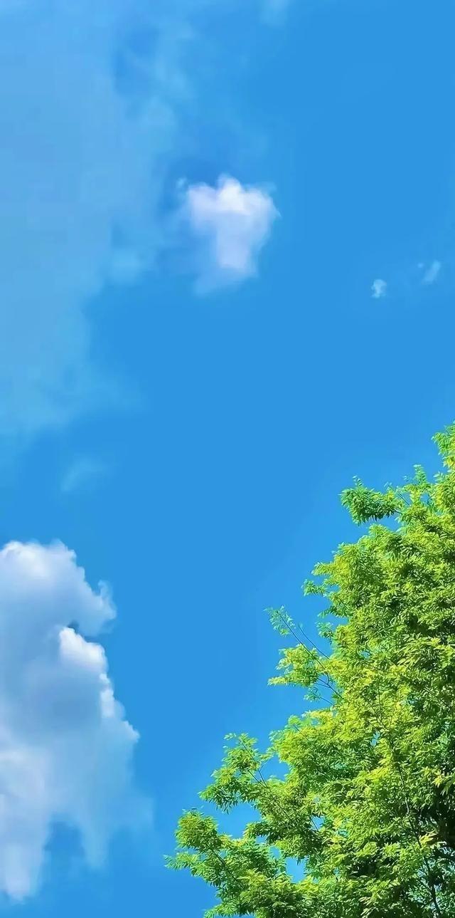 经济学家说:“你赚到钱又站起来的时候，不要交朋友，不要谈恋爱，不要买房，不要买车