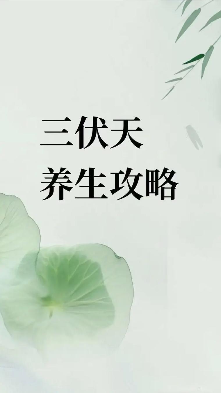 我发现：三伏天养生，中老年人记住这几点，安稳度夏不遭罪老年