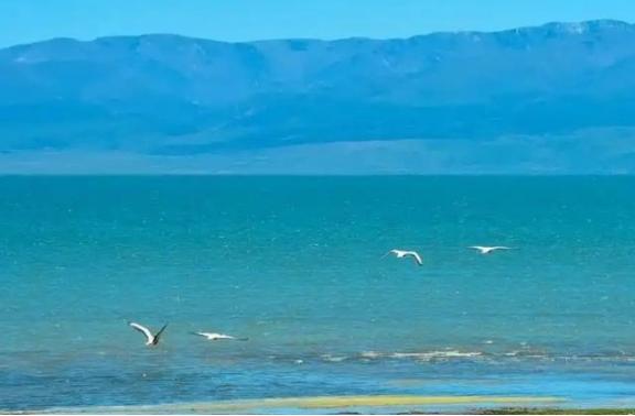 中国的贸易顺差已经接近1万亿美元了，但外贸企业却一批又一批地倒闭，这么说吧，大量