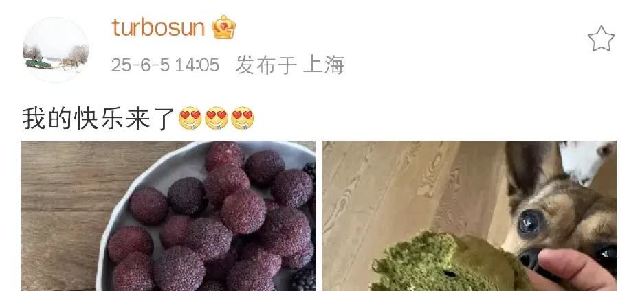 孙俪，高调发文！6月5日下午，孙俪在社交平台高调发文，引发网友围观！这次