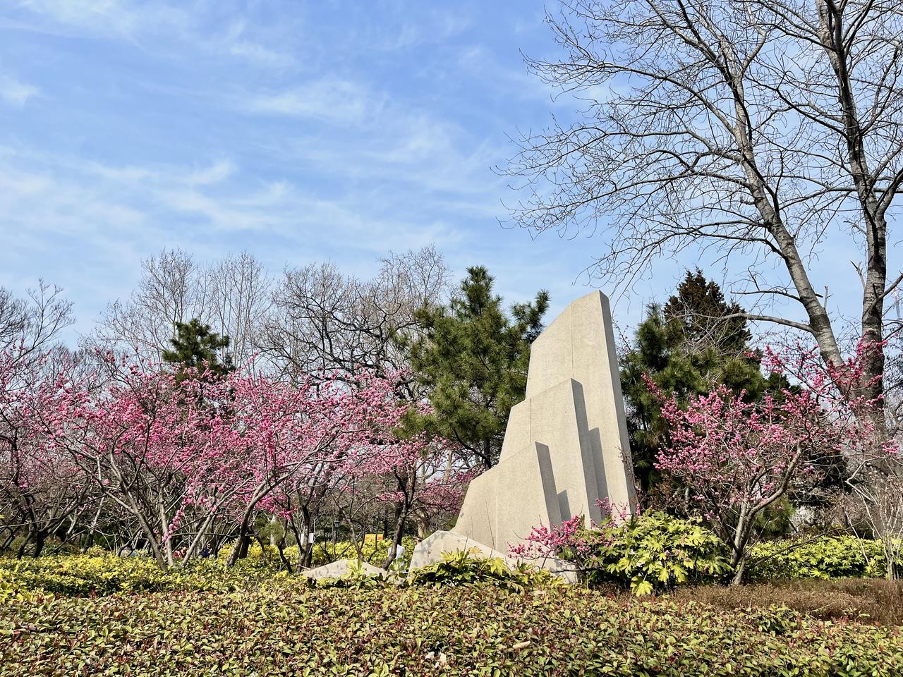 3月31日，阳光明媚，春暖花开，中山公园逛逛。