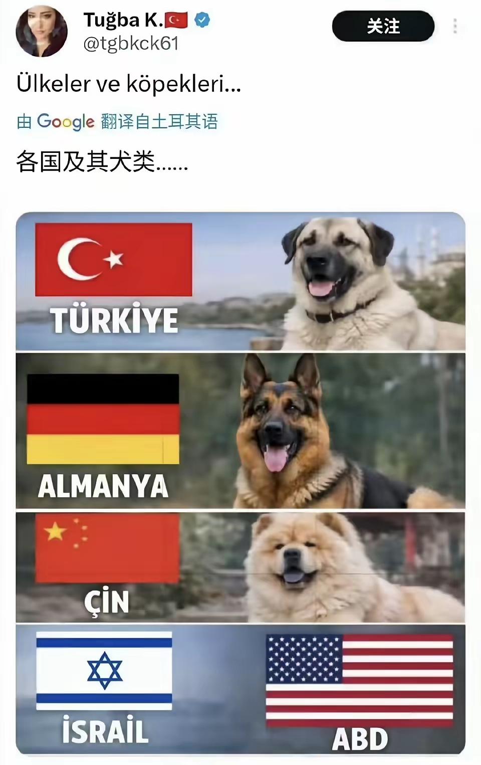 不错不错[捂脸哭][捂脸哭][捂脸哭]