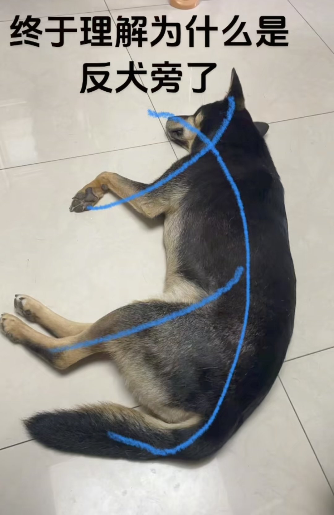 这下理解了​​​